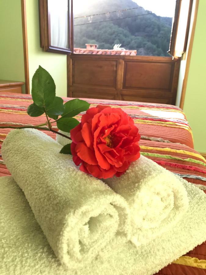 Apartamentos Rurales Los Nogales โคสกายา ภายนอก รูปภาพ