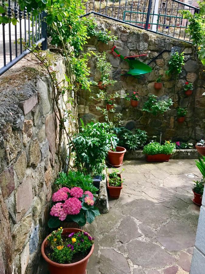 Apartamentos Rurales Los Nogales โคสกายา ภายนอก รูปภาพ