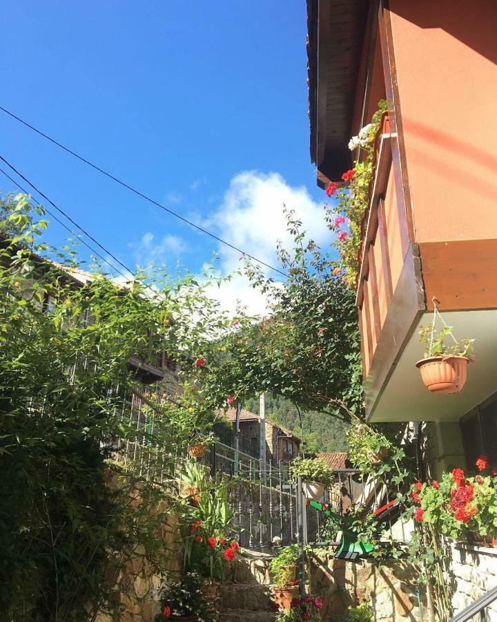Apartamentos Rurales Los Nogales โคสกายา ภายนอก รูปภาพ